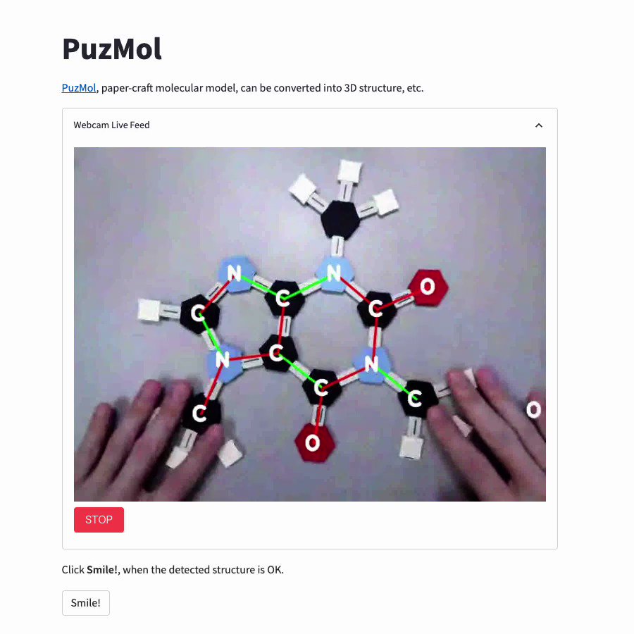 Preview of PuzMol recognizing a paper molecular model